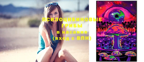 марки nbome Вяземский
