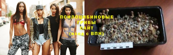 молекула духа Вязьма