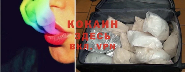 Альфа ПВП Горняк