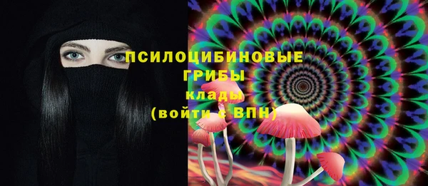 молекула духа Вязьма