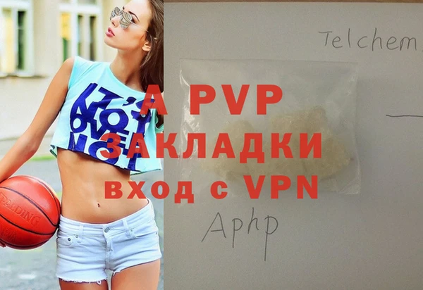 Альфа ПВП Горняк