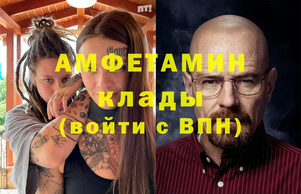Альфа ПВП Горняк
